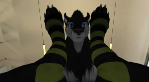 Snapshot_01000